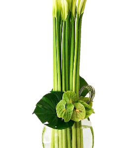 Tall vase arrangements